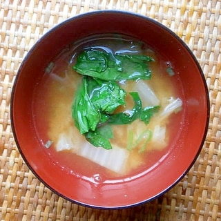 白菜・青梗菜の味噌汁
